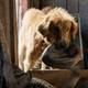 Still: Universal/Amblin